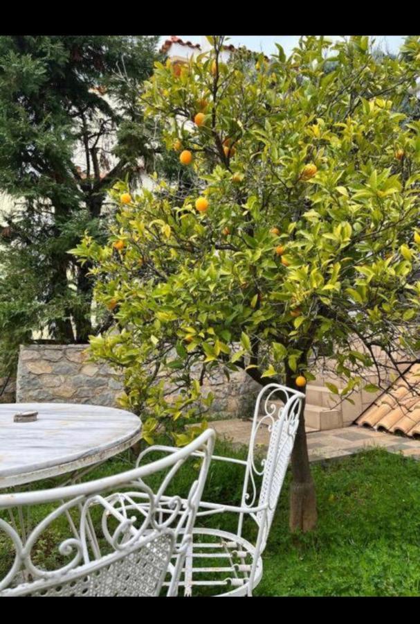 Villa Sul Mare Χαλκίδα Εξωτερικό φωτογραφία