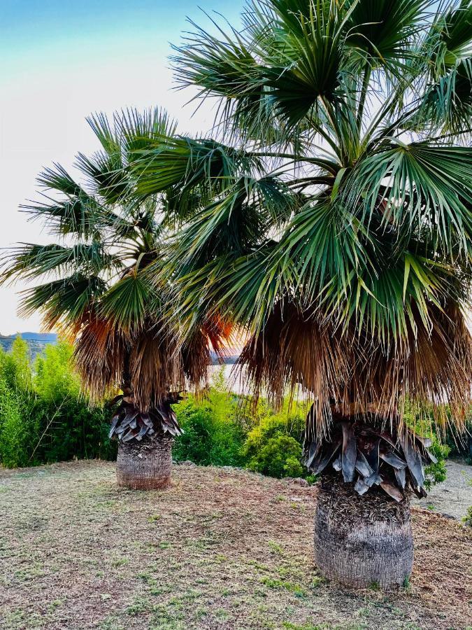 Villa Sul Mare Χαλκίδα Εξωτερικό φωτογραφία